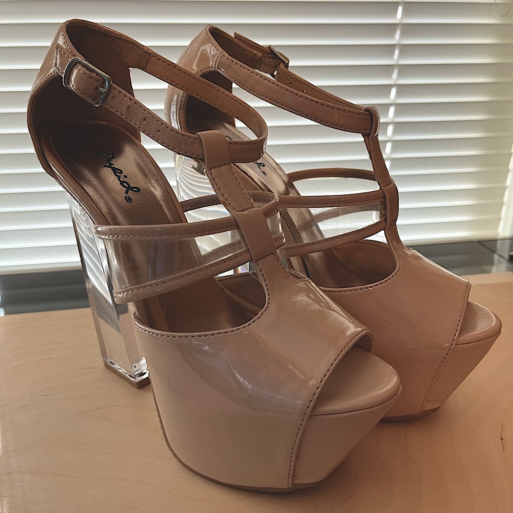 Nude and Clear lucite platform heel